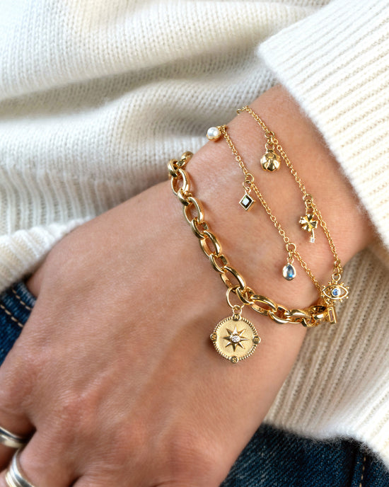 Audrey, Points of Light, and My Lucky Charm Bracelets