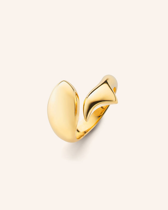 Perseverance Fish Ring