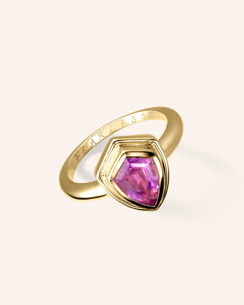 Special Edition Fearless Garnet Shield Ring