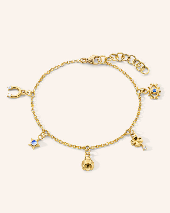 My Lucky Charm Bracelet