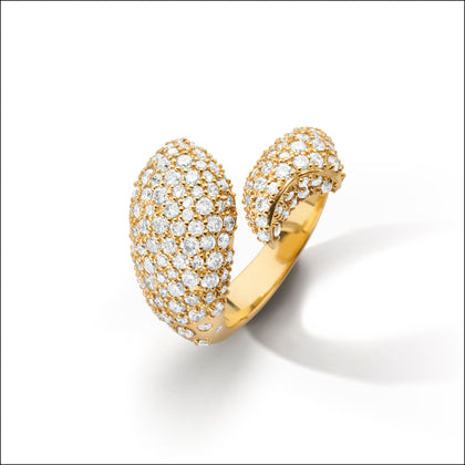 Animal Rings