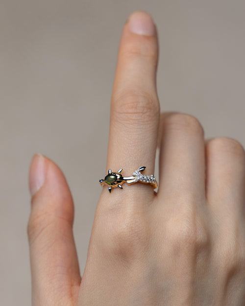 The Slow and Steady Tortoise and the Hare Ring