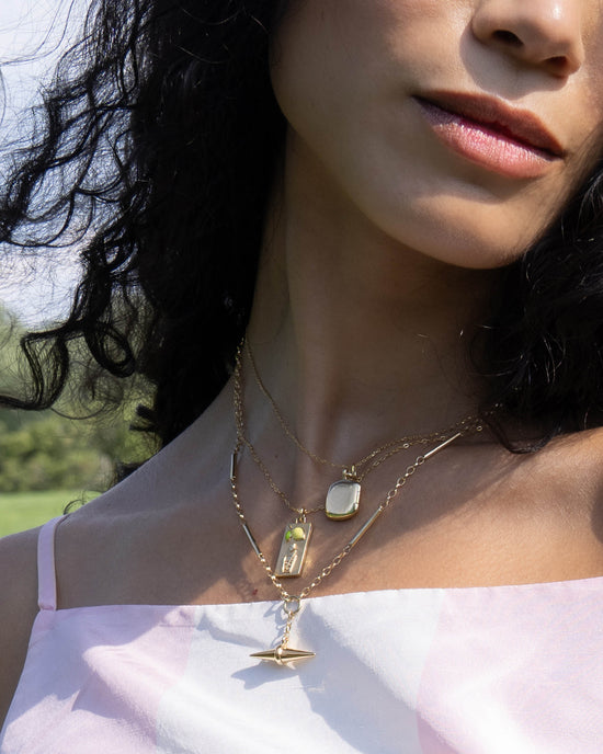Points North Toggle Necklace, Lemons to Lemonade Necklace, Viv Locket, in 18K Gold