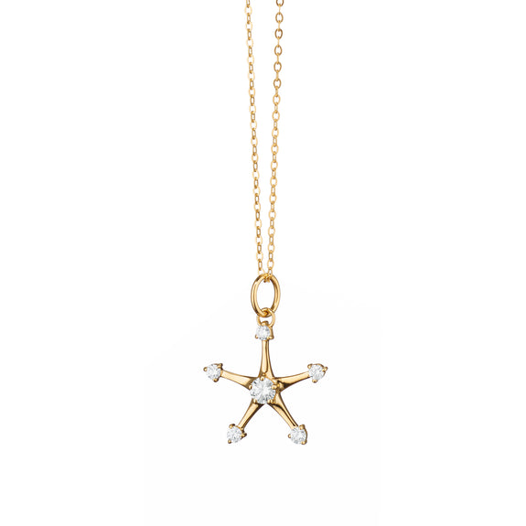 
  
    Petite Gold and Diamond Star Necklace
  
